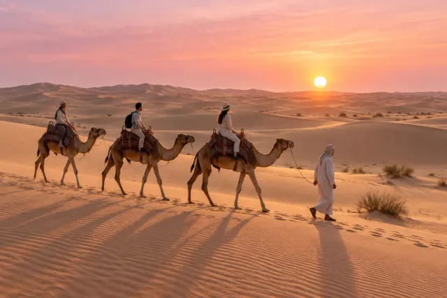 Camel Trekking Desert Experience (sunrise)