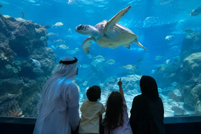 The National Aquarium