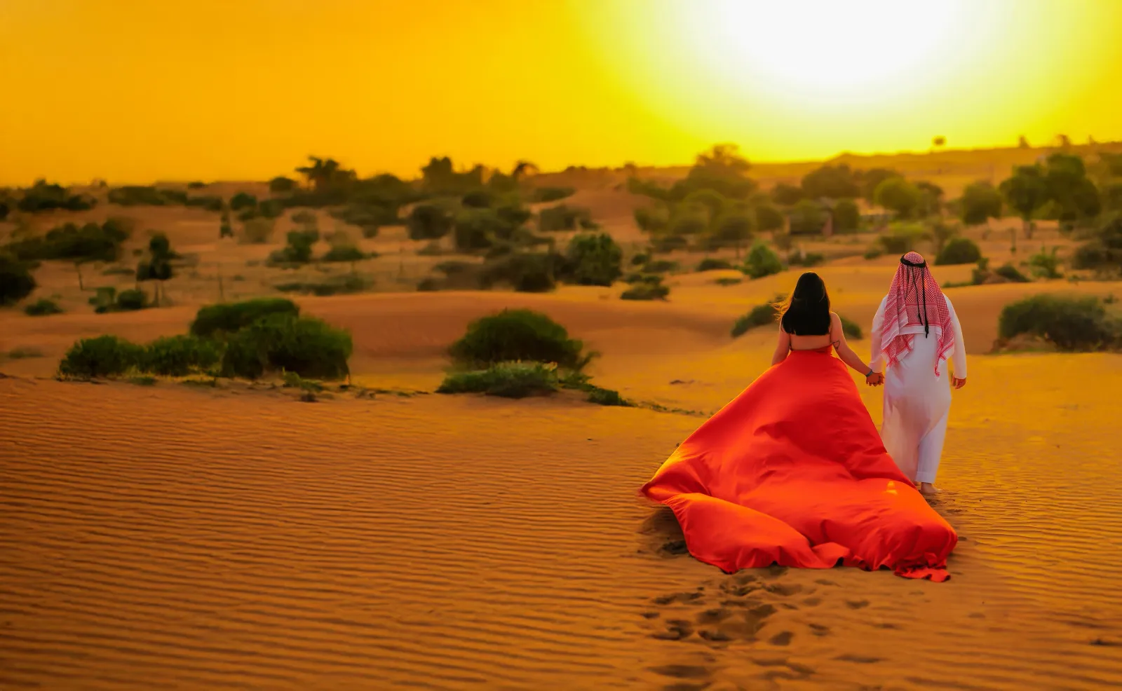 All 7 Emirates 10 Days UAE itinerary