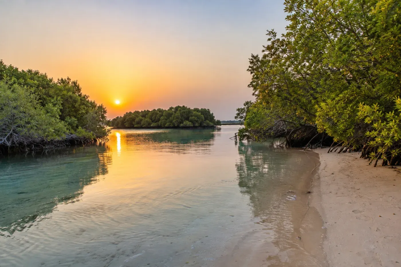 Hidden Mangrove Beach (Al Zorah)