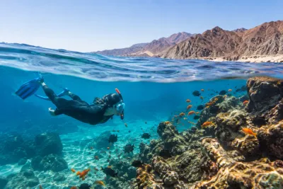 Diving & Snorkeling