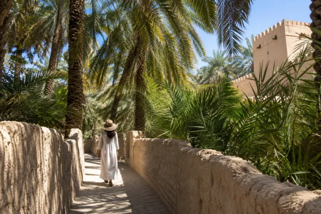 Al Ain Oasis + Palace Museum Tour