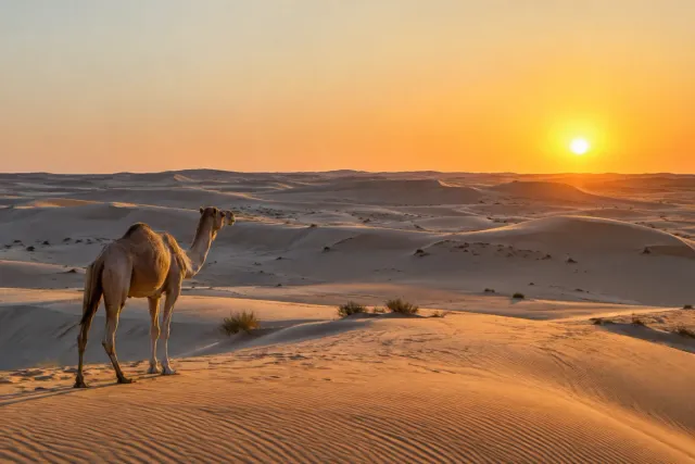 Al Dhafra Desert Region
