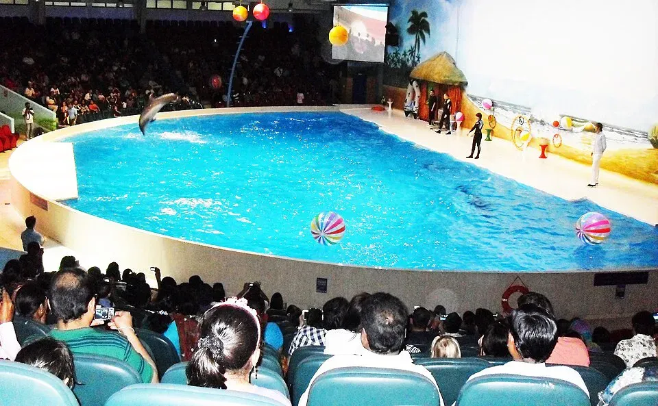 Dubai Dolphinarium Dubai