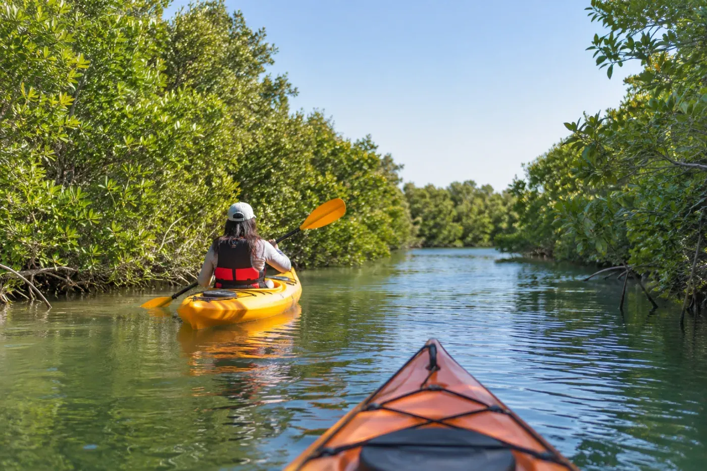 Al Zorah Mangrove Kayaking