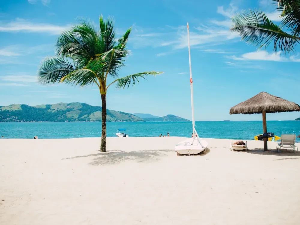 Beach Clubs — representative stock photo