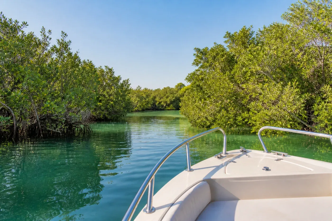 Mangrove Boat Tour