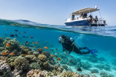 Diving & Snorkeling