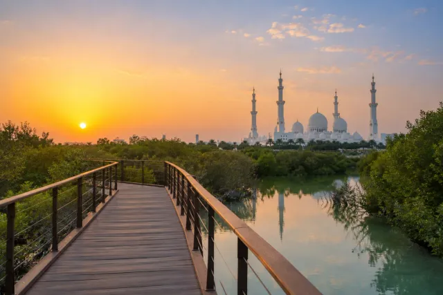 Jubail Mangrove + Mosque Combo Tour